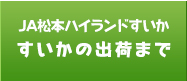 すいかの出荷まで