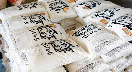 画像：コシヒカリの袋のイメージ
