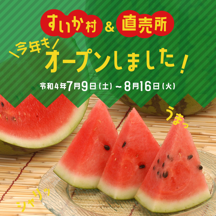 画像：すいか村＆直売所、今年もオープンしました！