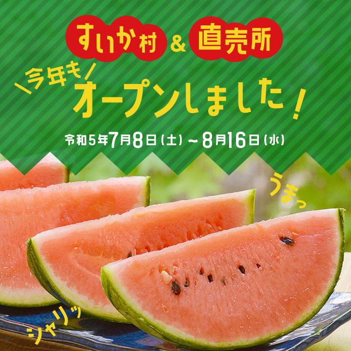 画像：すいか村＆直売所、今年もオープンしました！