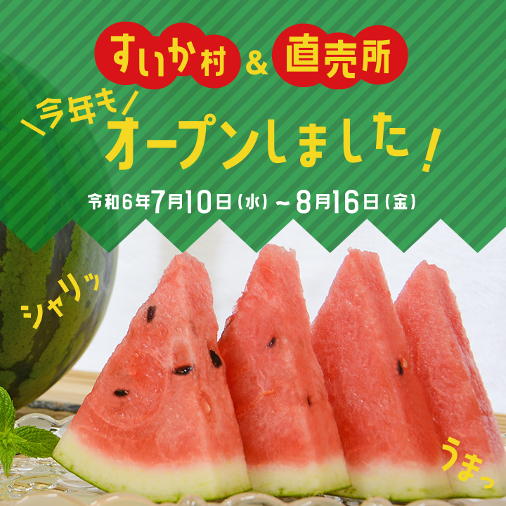 画像：すいか村＆直売所、今年もオープンしました！