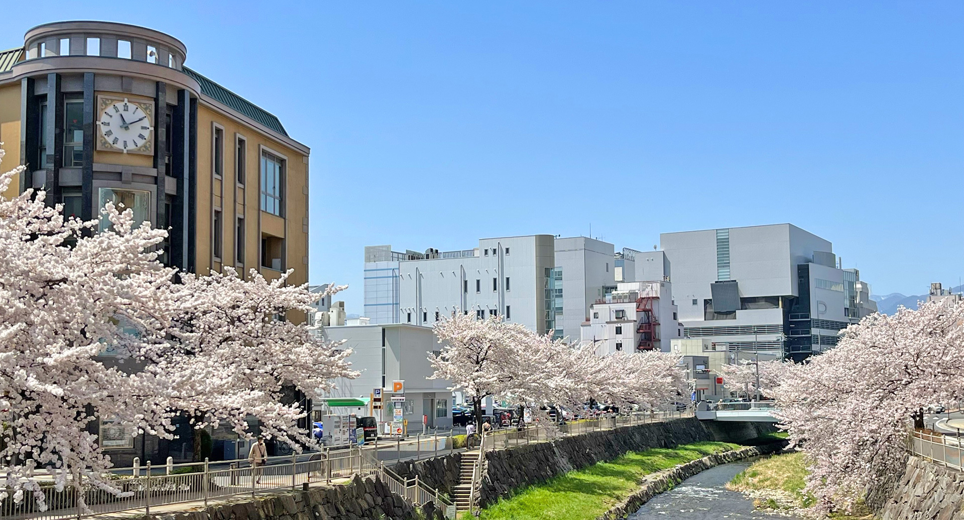 ［春］時計博物館と女鳥羽川と桜