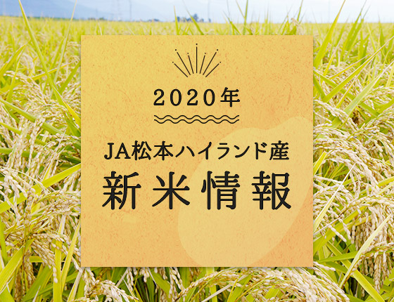新米情報
