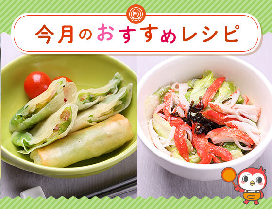 画像：おすすめレシピ：レタスの春巻き・レタスとサバ缶のサラダ（2025 4月号）