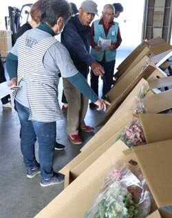 株養成順調　最盛期の出荷量確保へ