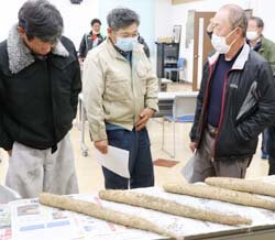ナガイモ目揃会を開催、掘り取りは29日から解禁