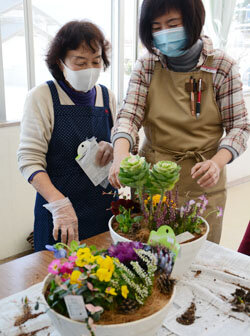 寄せ植え講習会を実施　冬も植物を見て心豊かに
