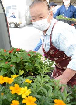 畜産女性部「あおぞらの会」花苗配付　畜舎に花を飾ろう！