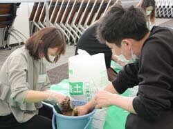 若妻大学を再開　バケツ稲に挑戦！