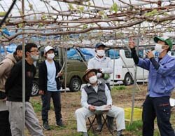 ぶどう芽かき講習会　松本市農業農村支援センターと連携　さらなるブランド強化へ