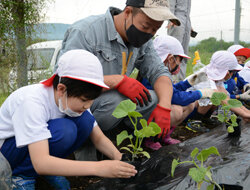 キュウリの定植を指導　食の大切さを感じてね