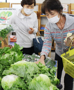 朝採れ野菜がズラリ　「勇気野菜館」が営業スタート