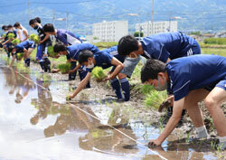 松本山雅FCユース選手が田植えを体験　農業の大変さ・楽しさ学ぶ