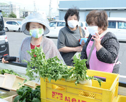 軽ットラ市がオープン　軽トラックに新鮮野菜ずらり