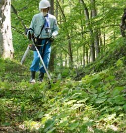 モデル農家組合が地域を活性化　地域の再生へ一歩