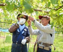 山清路ぶどうの魅力を発信　応募者多数定員増やし開催