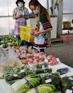 新村支所に直売所オープン　新鮮な野菜を届けたい