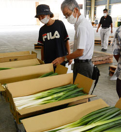 白ネギ目揃会を開催　出荷規格を確認