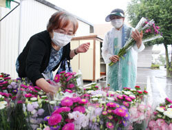 「勇気野菜館」で「お盆セール」を開催　丹精込めて育てた盆花が好評