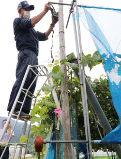特産ぶどう盗難防止にむけ決起　地域を巻き込んだ「安心な山辺づくり事業」へ