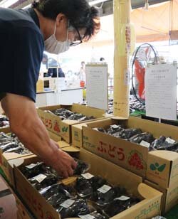 農産物直売所で「親子房」販売　農家所得の向上・JA利用の促進へ