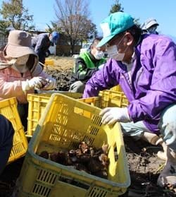 島内支所協同活動　共同作業で地域の絆深める
