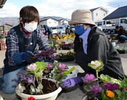 寄せ植えを楽しんで　予想を上回る反響