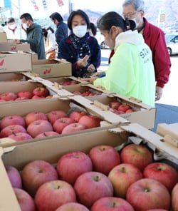 直売所で「秋の味覚大市」開催　旬の農産物が大集合