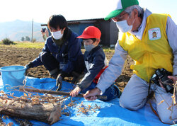 農業体験をサポート　児童が大豆の収穫体験