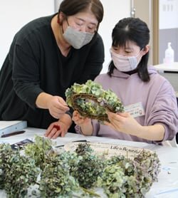 ドライフラワーでクリスマスリース作り　個性豊かな作品が完成