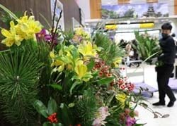 JR松本駅に花きを展示　地元産花きで正月お迎え