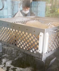 温湯消毒すすむ　環境に優しい米づくり