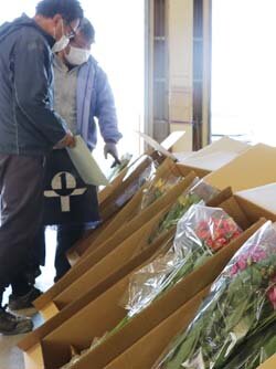 アルストロメリア春季出荷目揃会、需要の高まりに向け出荷を呼びかけ