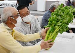 順調な生育　出荷規格を確認