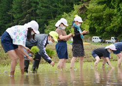 田植え体験　楽しいな！