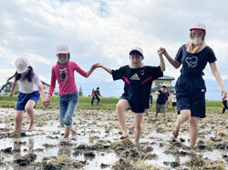おいしいお米をつくる第一歩を　島立小学校5年生しろかき
