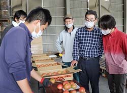 施設トマト目揃会　消費者に喜ばれる品を