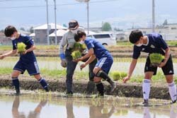 松本山雅FCユースアカデミーU-18の選手が田植えを体験　地元のお米を食べて活躍を期待！