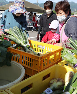 今年もお待たせ　新鮮野菜がたっぷり！