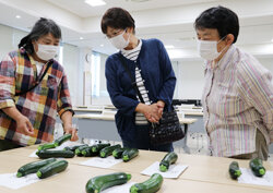 ズッキーニ出荷目揃会　シーズンを通して安定供給を