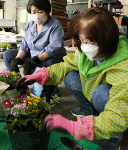 花のある生活を楽しんで　寄せ植え教室開催