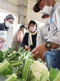 出荷規格を厳守しブランドを守る取り組みを　野菜部会目揃会