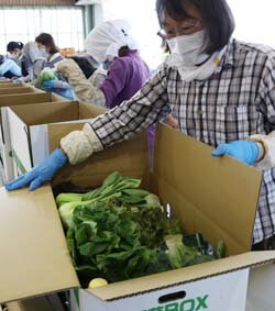 採れたての新鮮な野菜を各地へ　野菜BOX発送