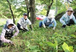 地区の景観を守る　中山霊園清掃