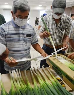 野菜部会が個選白ネギ目揃会を開催　高品質な出荷を