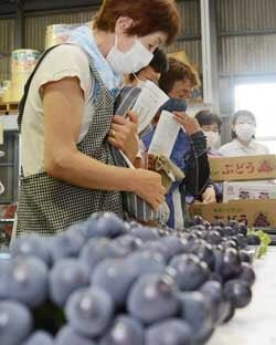 ぶどう部会が目揃会を開催　盗難防止へ対策を