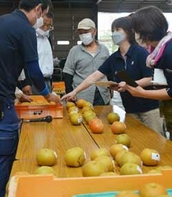 高品質な仕上がり　目揃会を開催