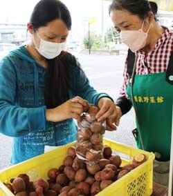 「じゃがいも・くだものまつり」盛況　さまざまな品種のじゃがいもがずらり