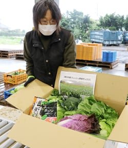 採れたての新鮮な野菜を各地へ　野菜BOX発送