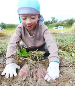 地域を農の輪でつなぐ　児童たちと食の大切さを学ぶ